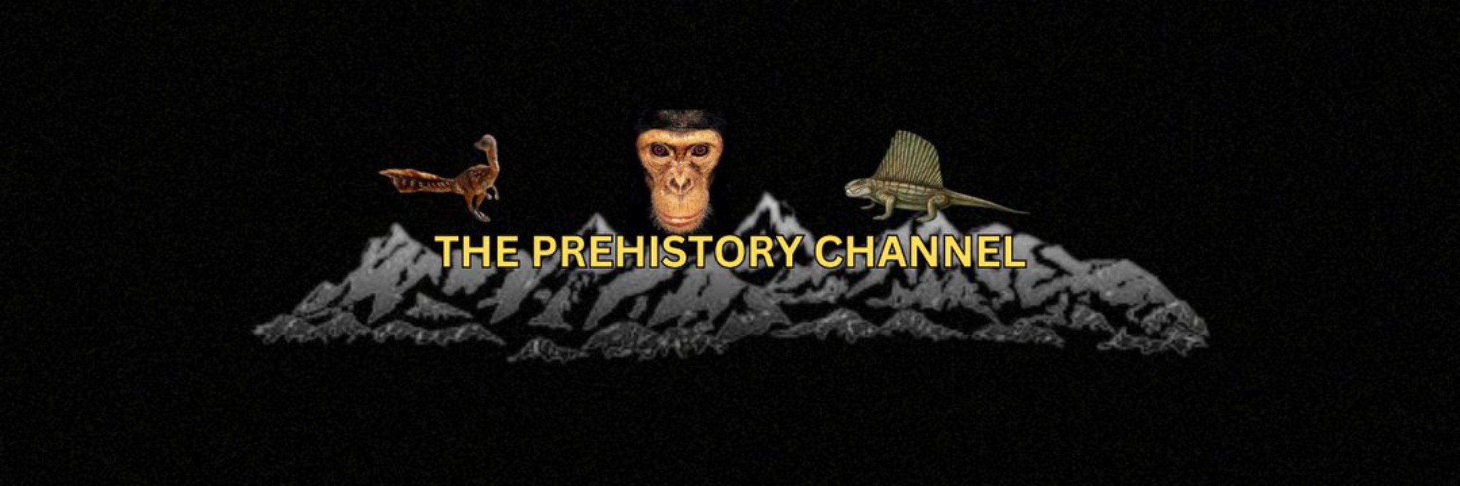 Prehistory
