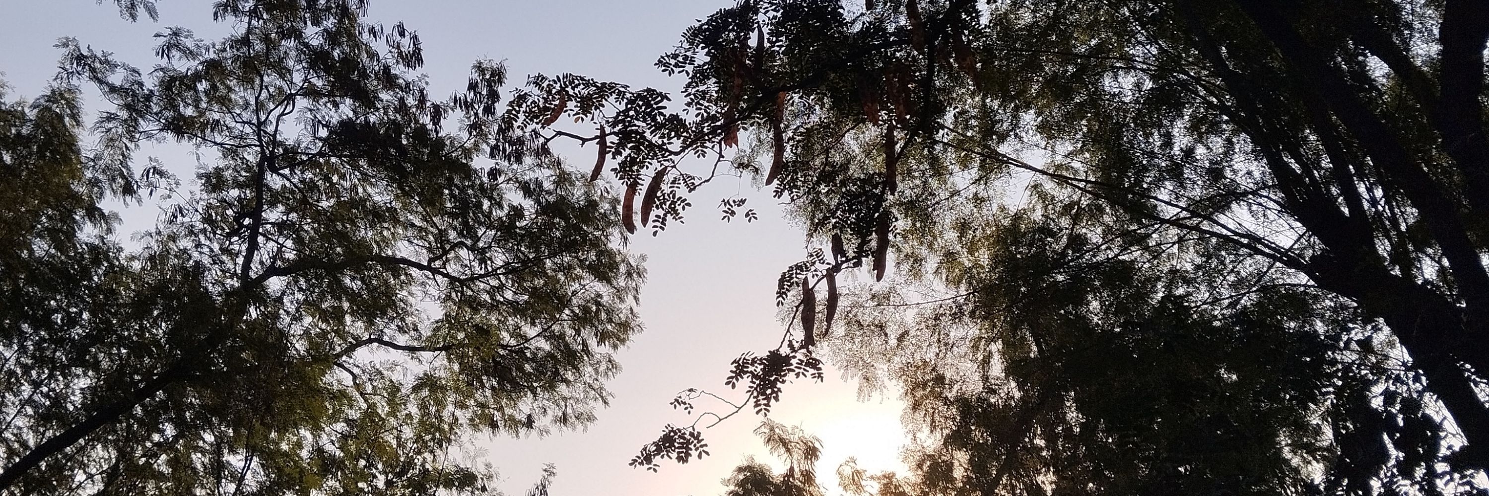 maíra do bairro