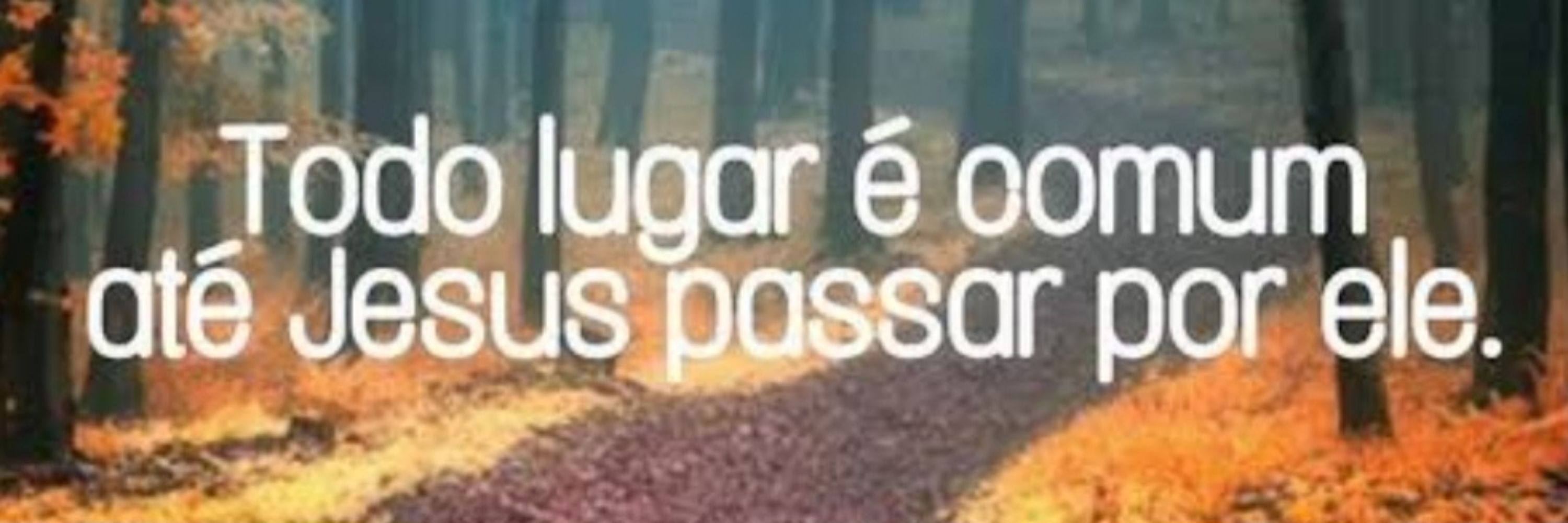 Fer Dodecacampeã