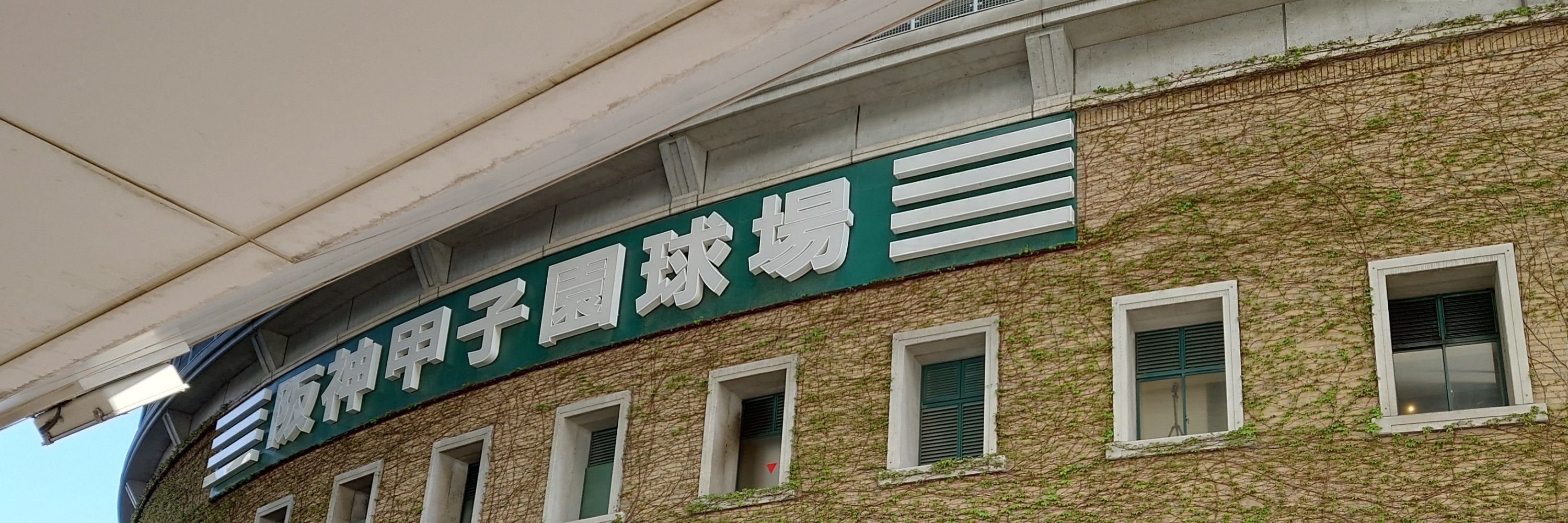 和桧