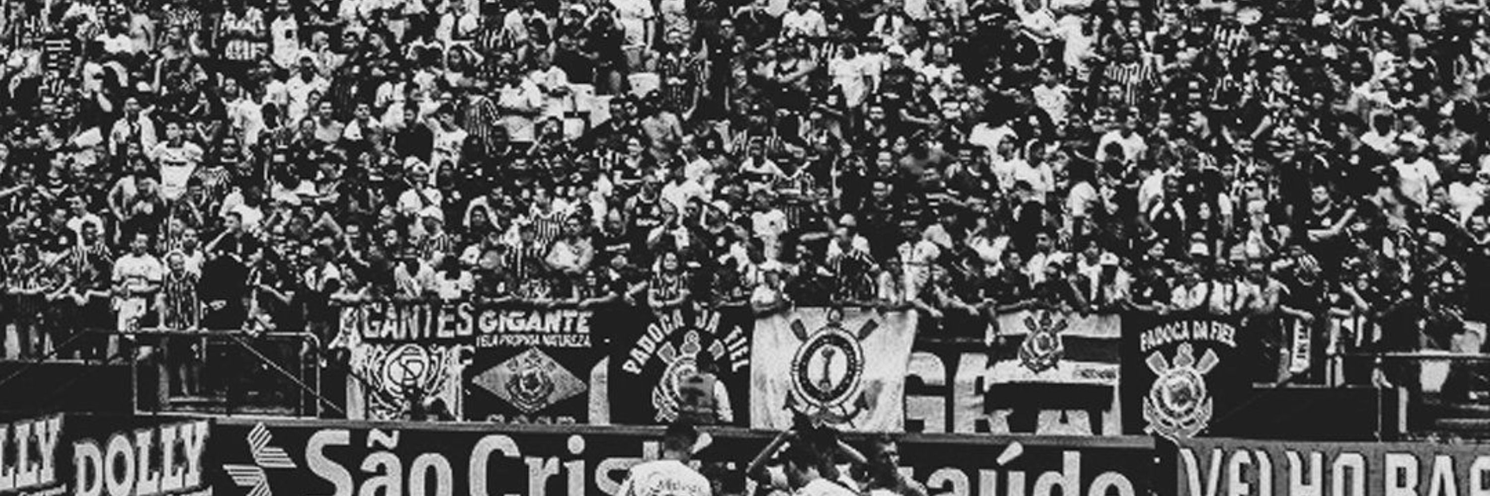 unico fã do yuri alberto
