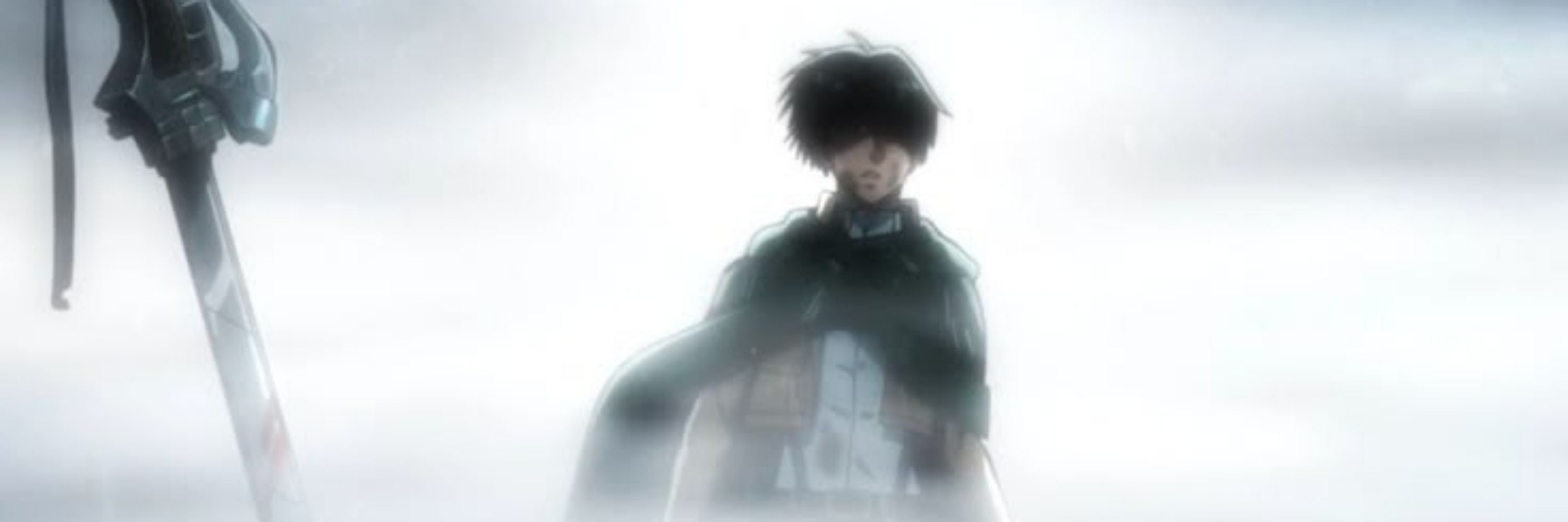 Kemalist Levi