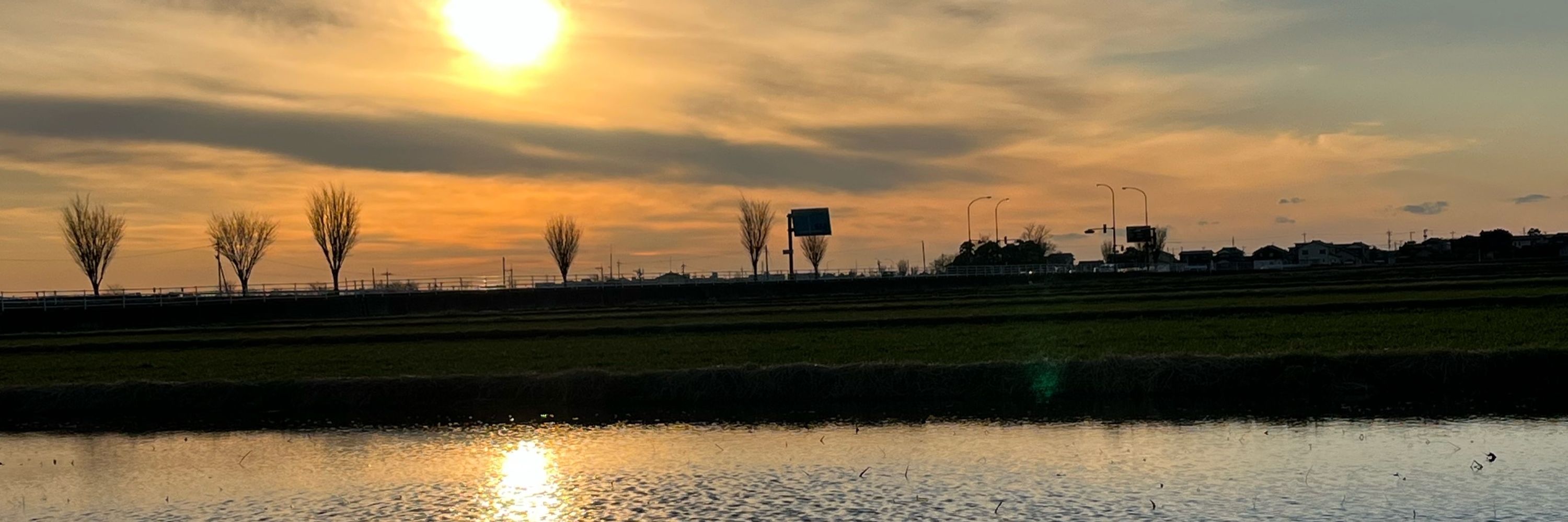 高田彬