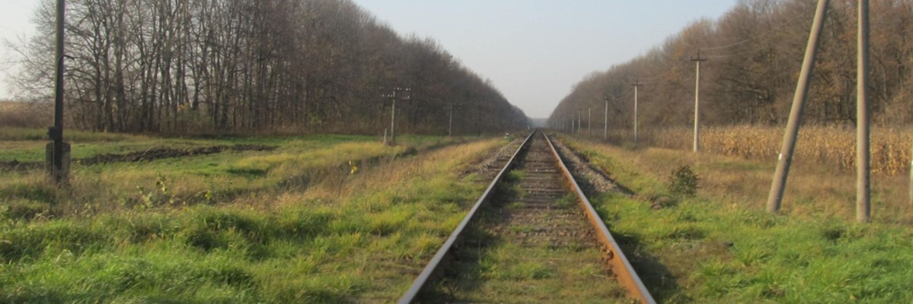 Хрещений в Троєщині