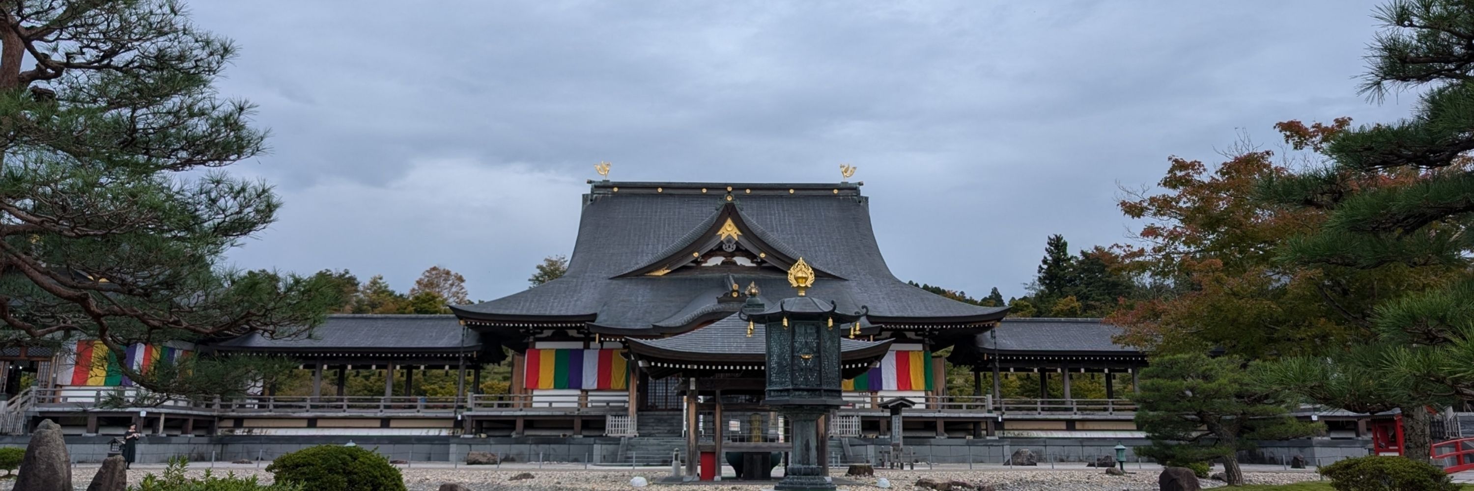 新山愛