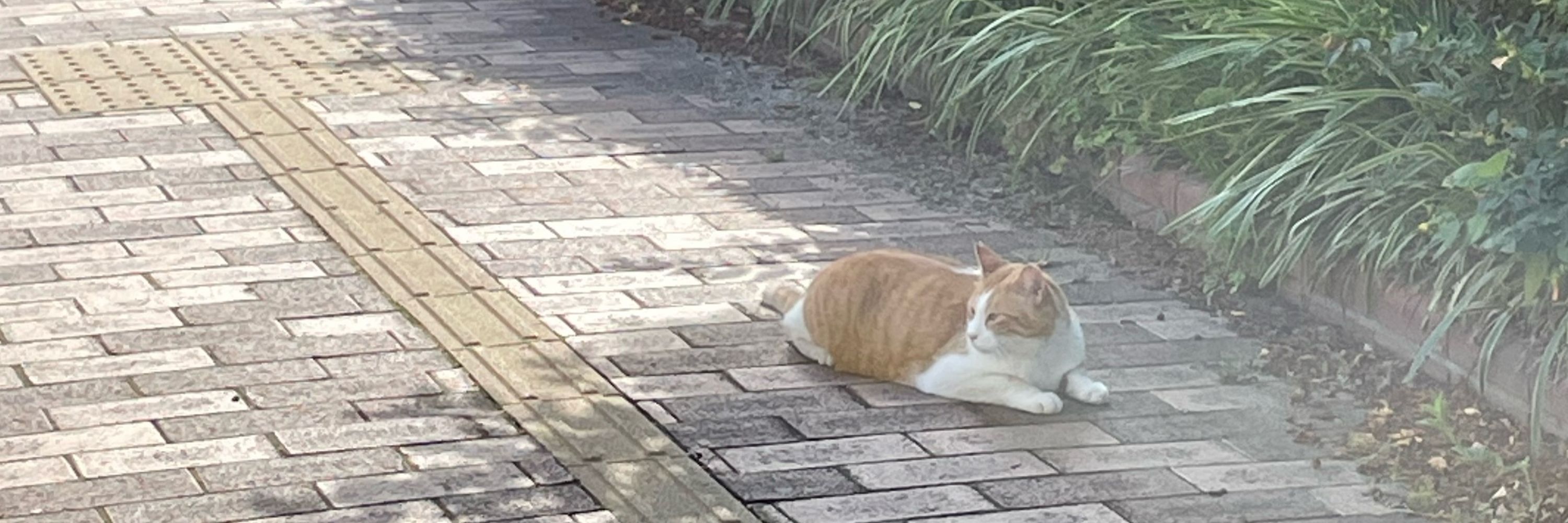えん