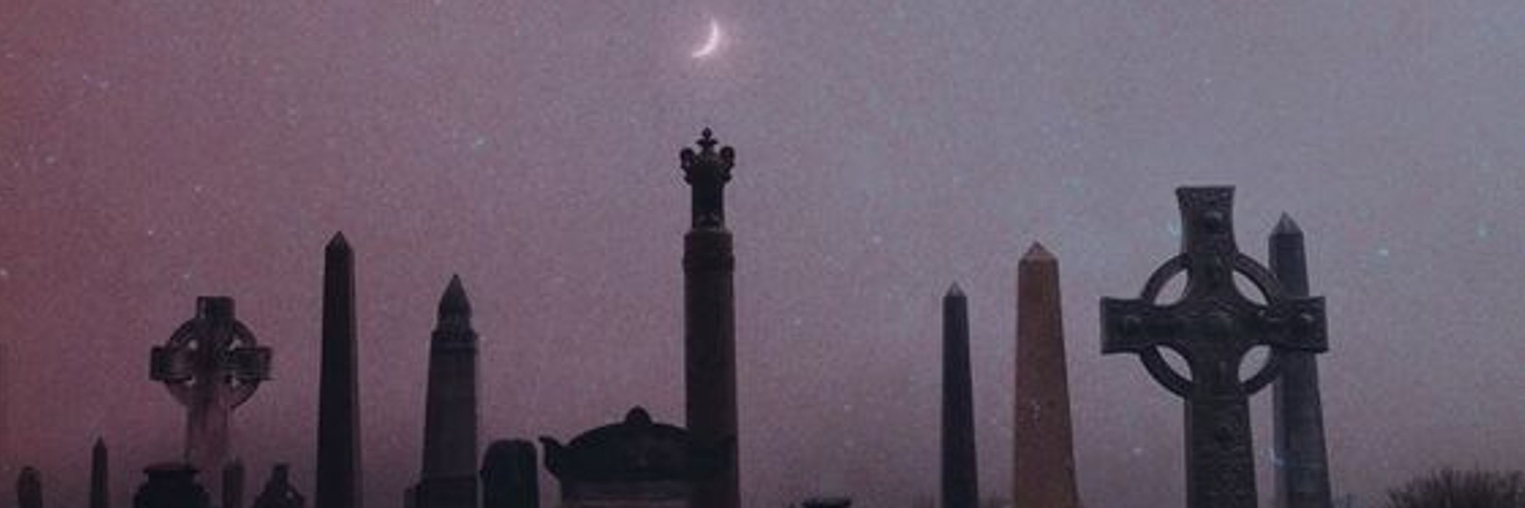 rei strikes back 🌙