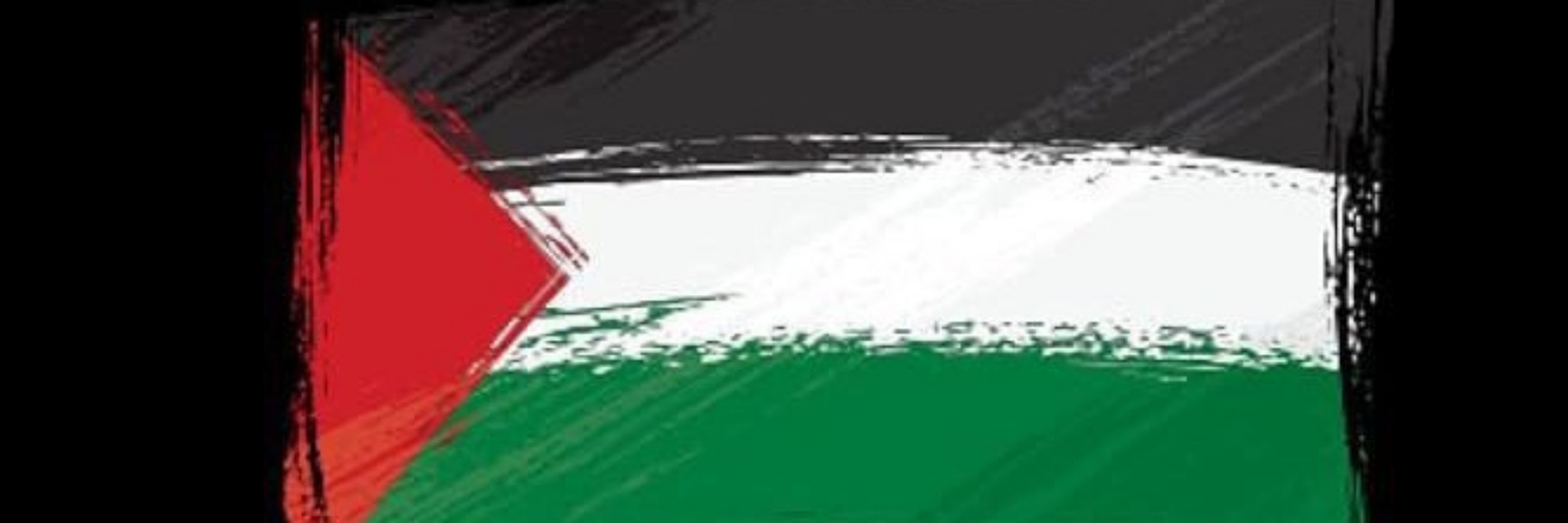 Waseem AL-madhoun 🇵🇸