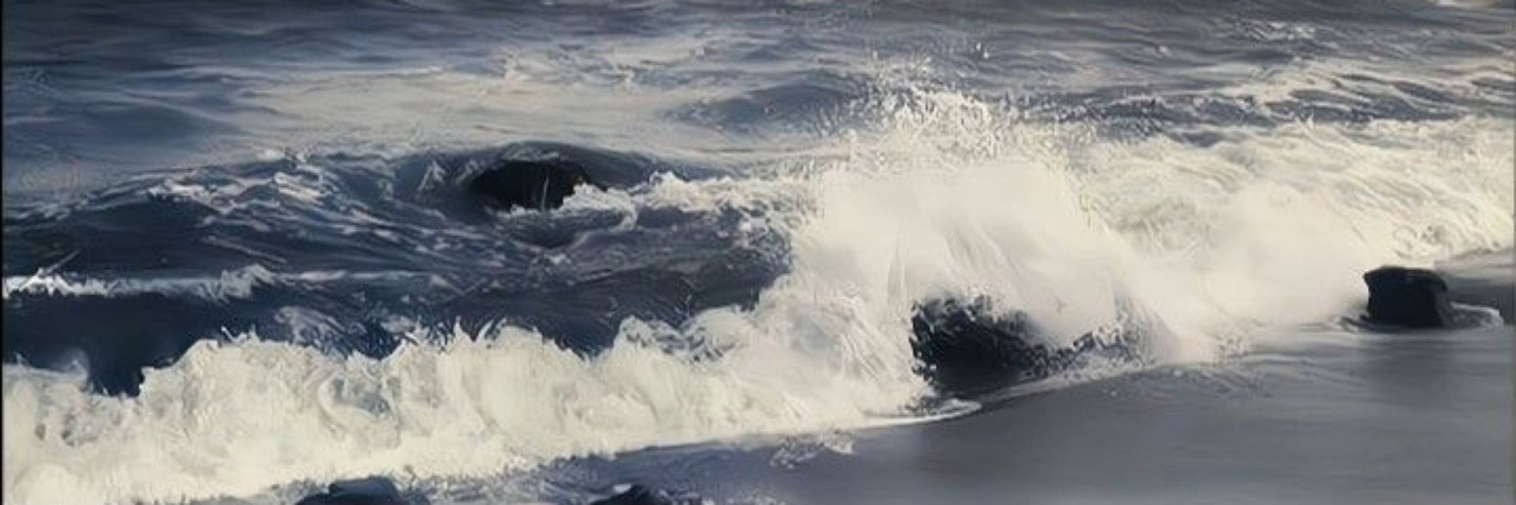 tsunami 🌊
