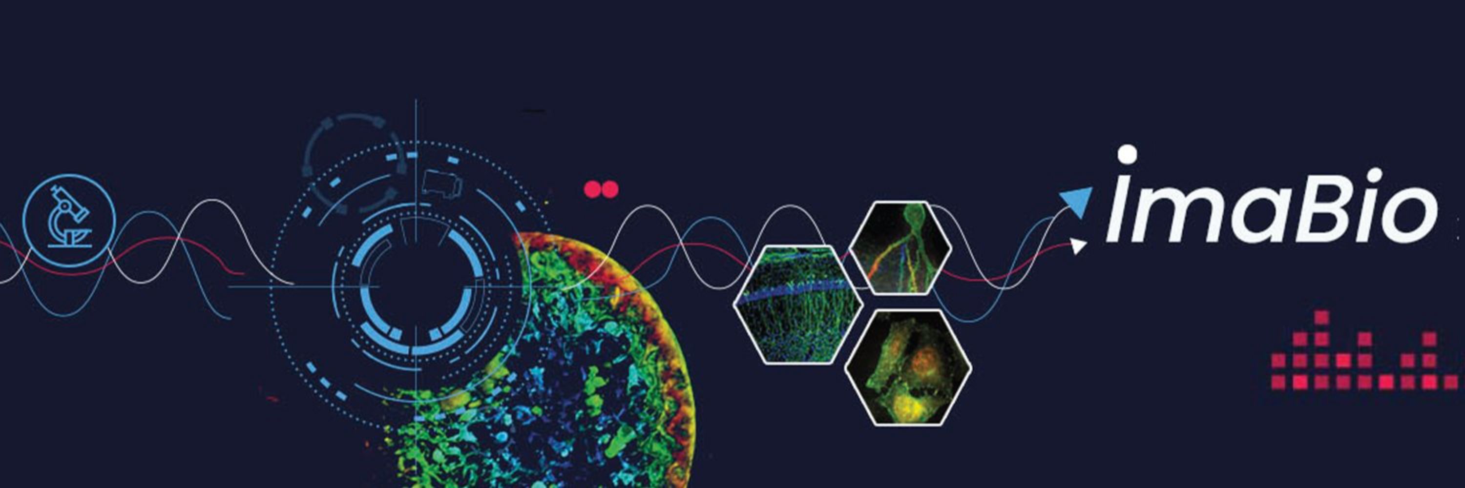 Young Scientist Network GDR Imabio