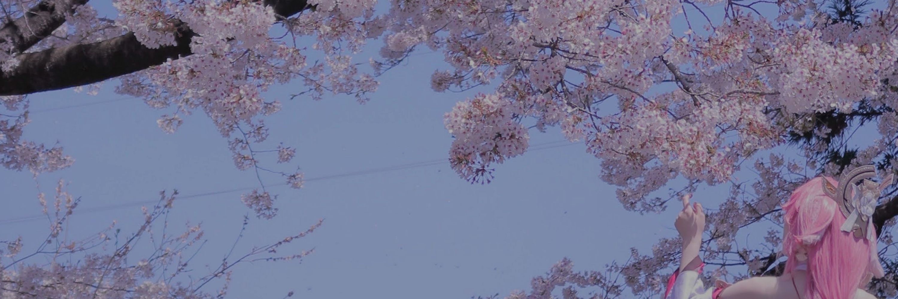 お葱