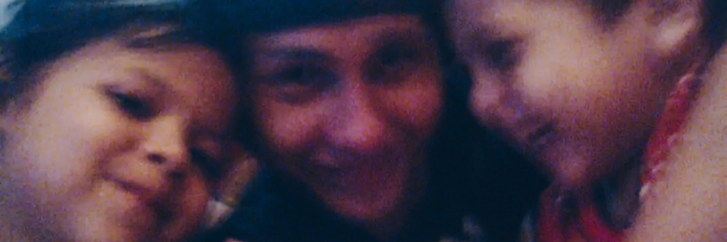 danitop