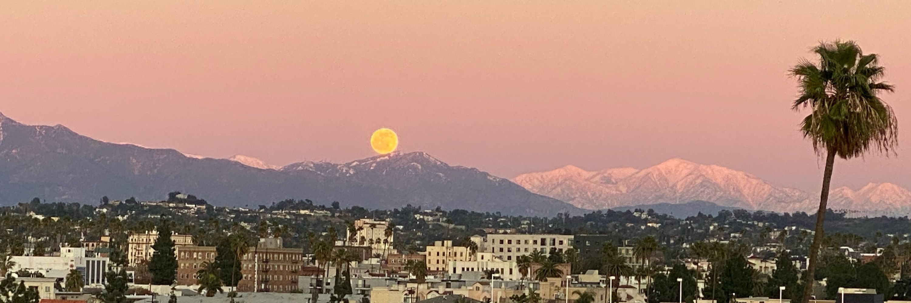 Taurusmoonlover