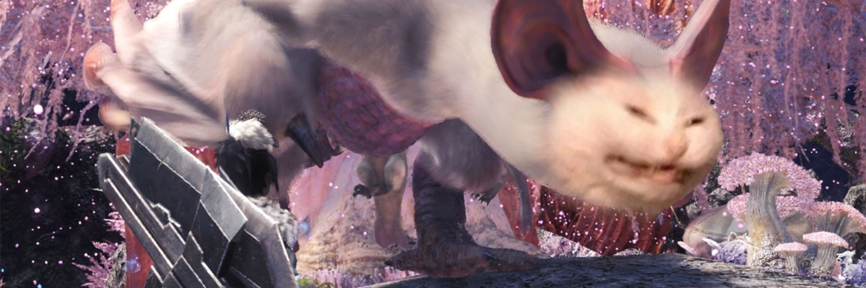 Rat