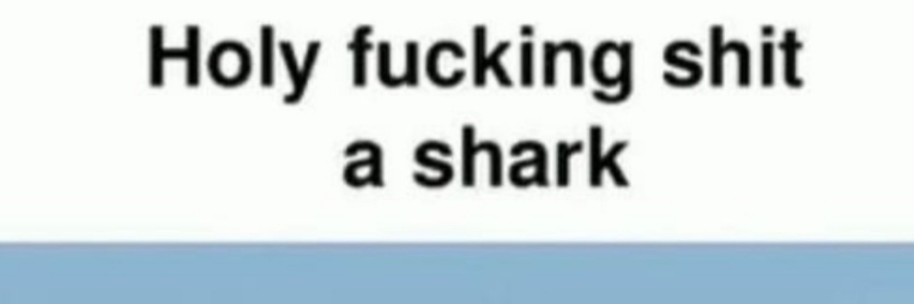 virginsharkguy
