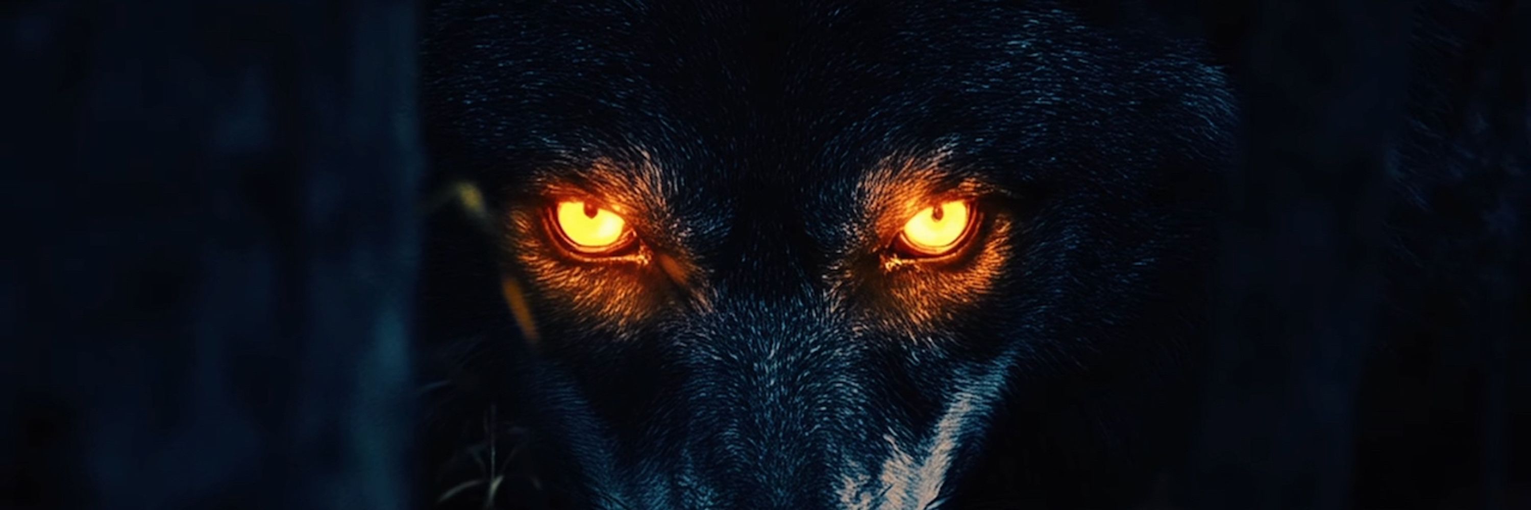 Nathan Wolf