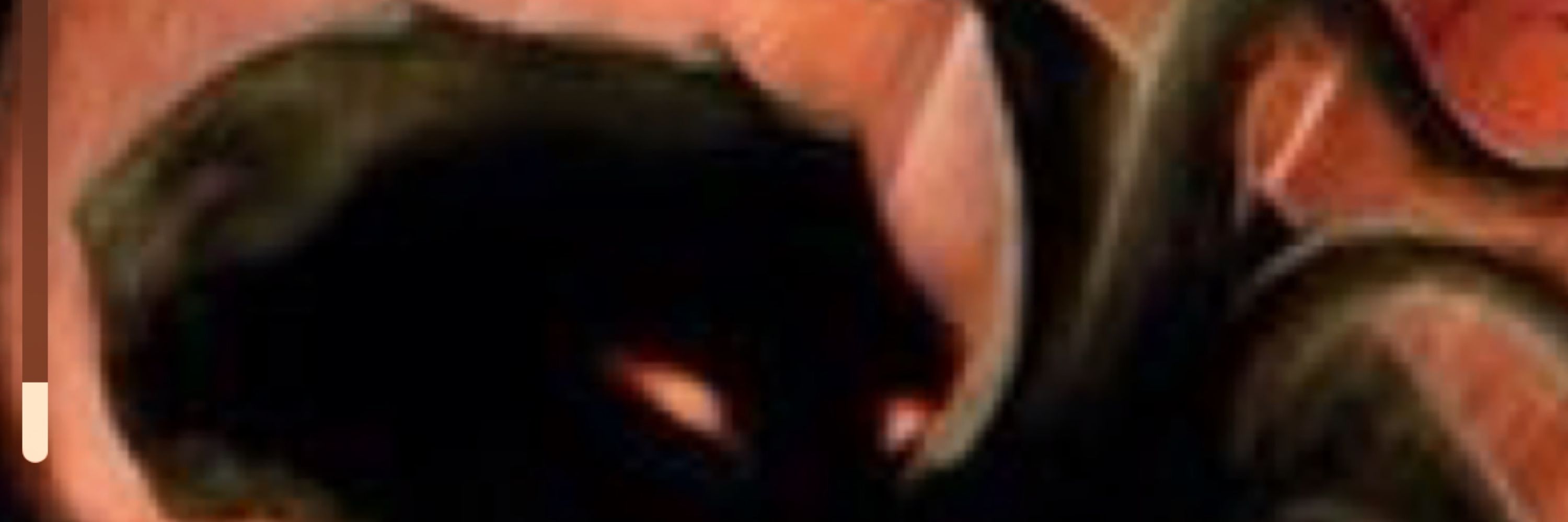 Kevin L