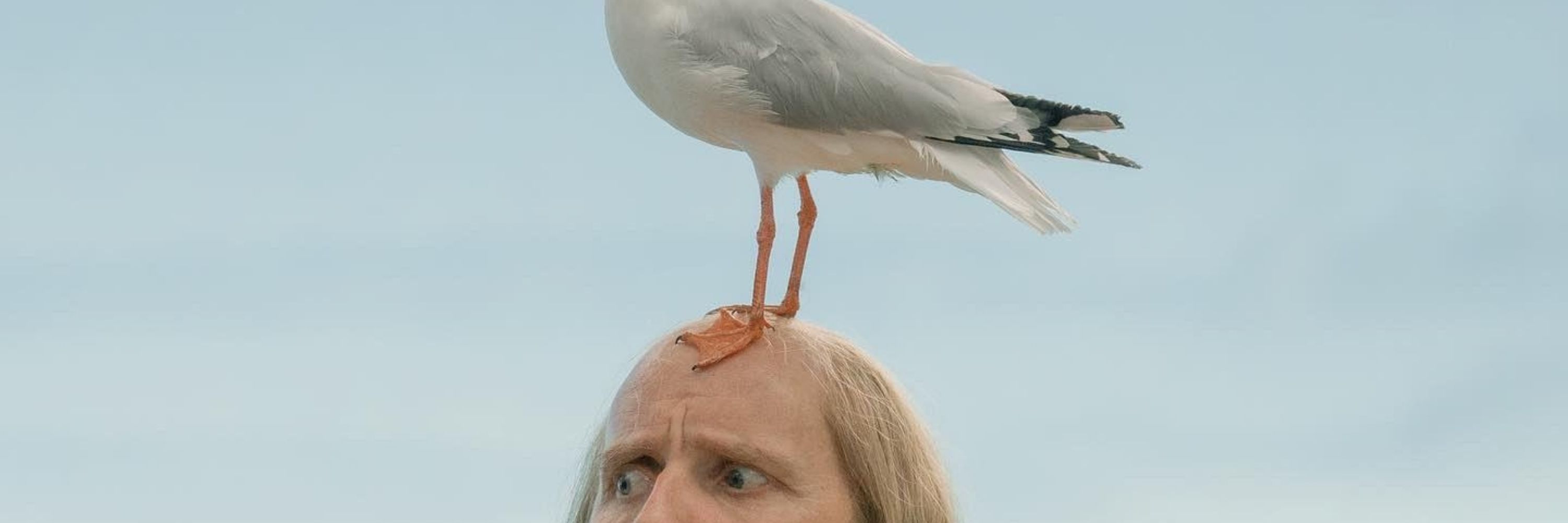 Phil