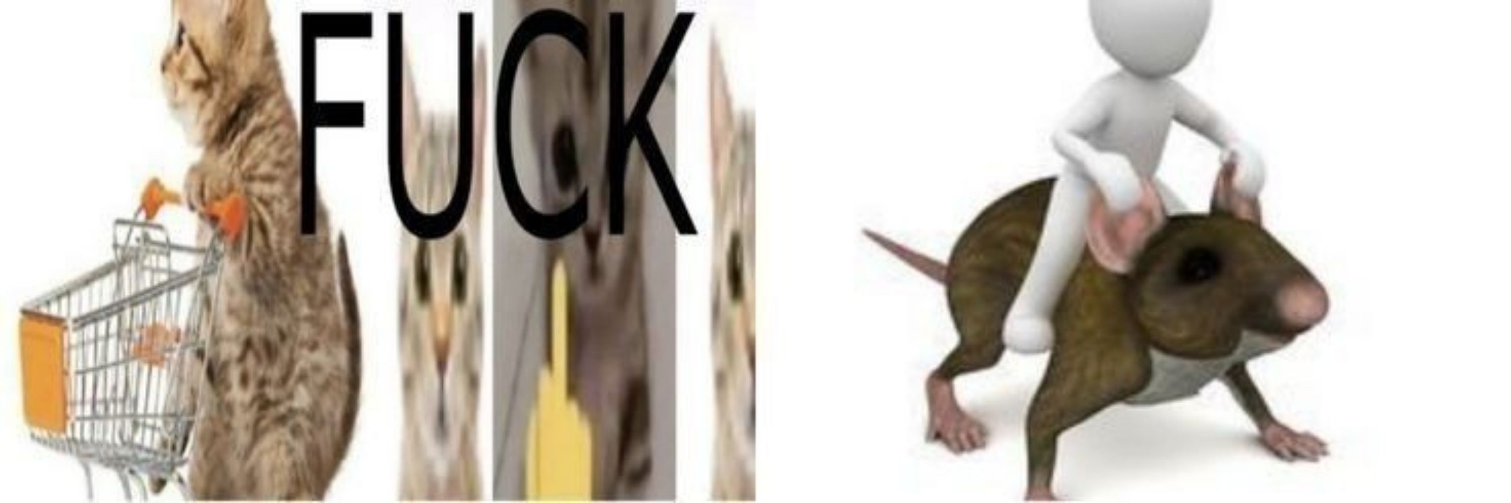 ˆ𐃷ˆ𝖥𝗂𝗅𝗁𝗂𝗇𝗁𖦹 𝖽𝖾 𝖯𝖺𝗉𝖺𝗂⭑