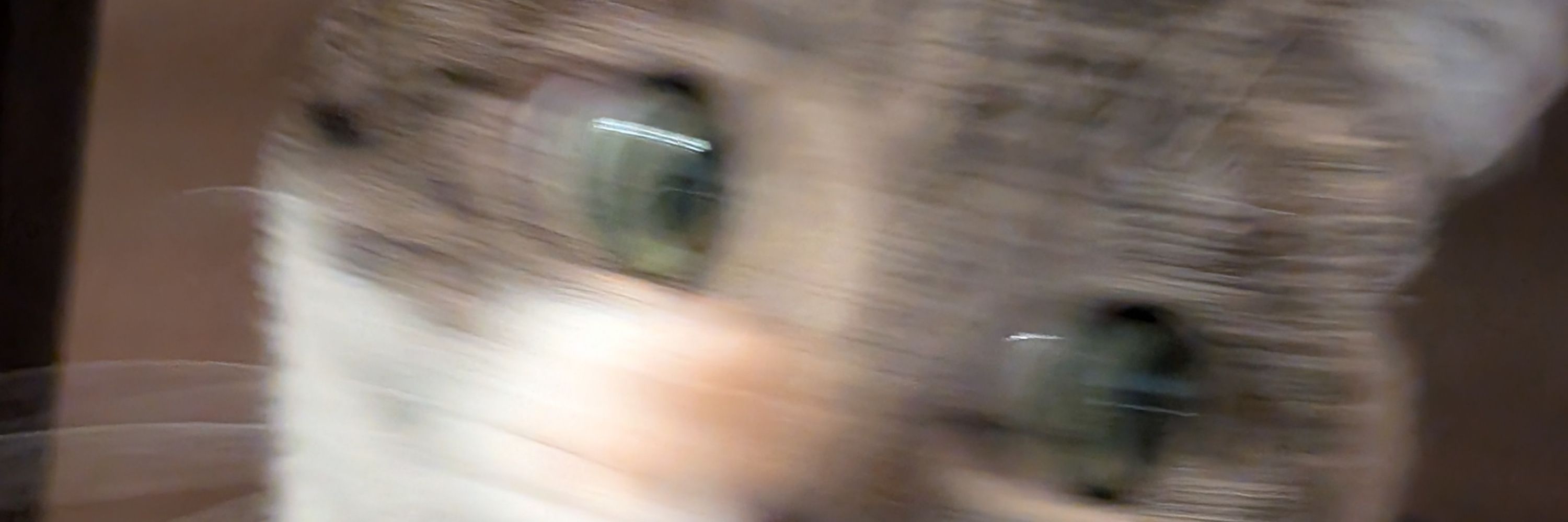 Kay