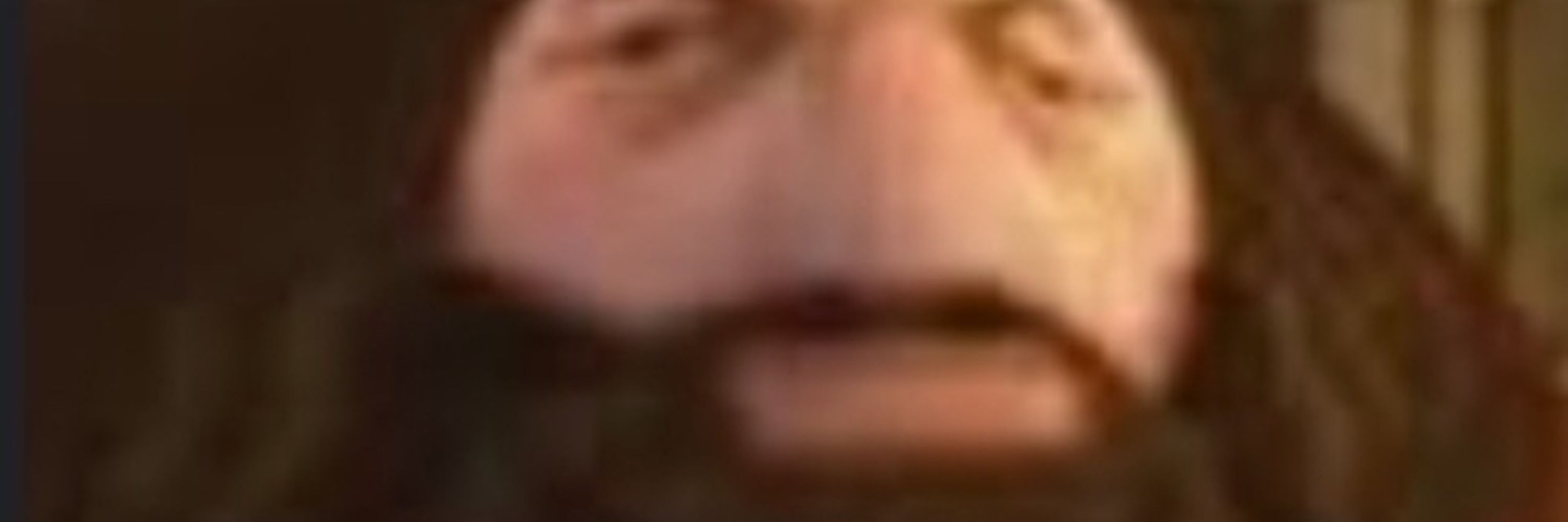 Gingy