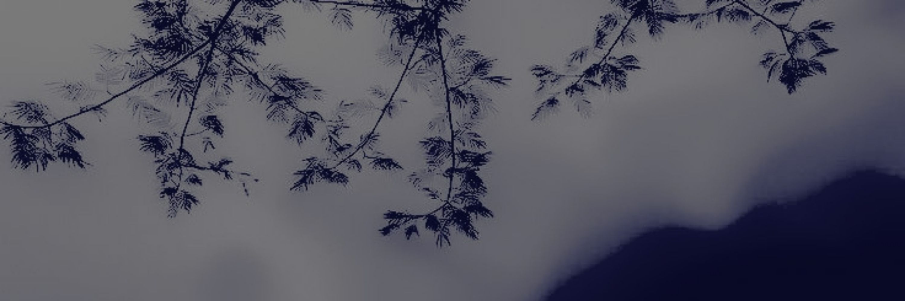 𝐧𝐚𝐭𝐡𝐚𝐧𝐚𝐞𝐥,ㅤ 𝐭𝐡𝐞 ㅤ𝐦𝐞𝐝𝜾𝐮𝐦.