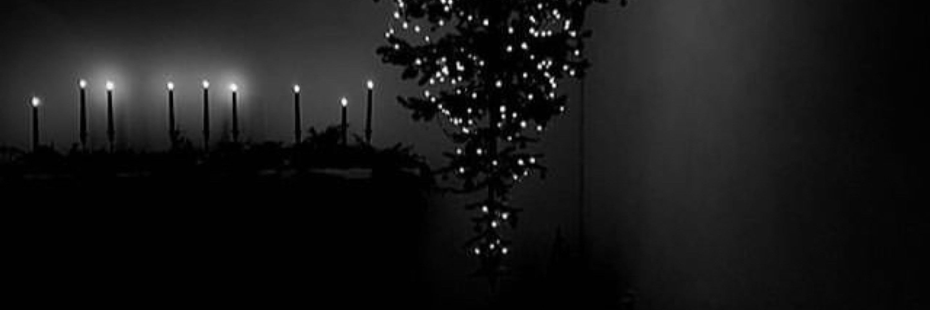 Lex ౨ৎ ⸆⸉ is in the christmas mood.