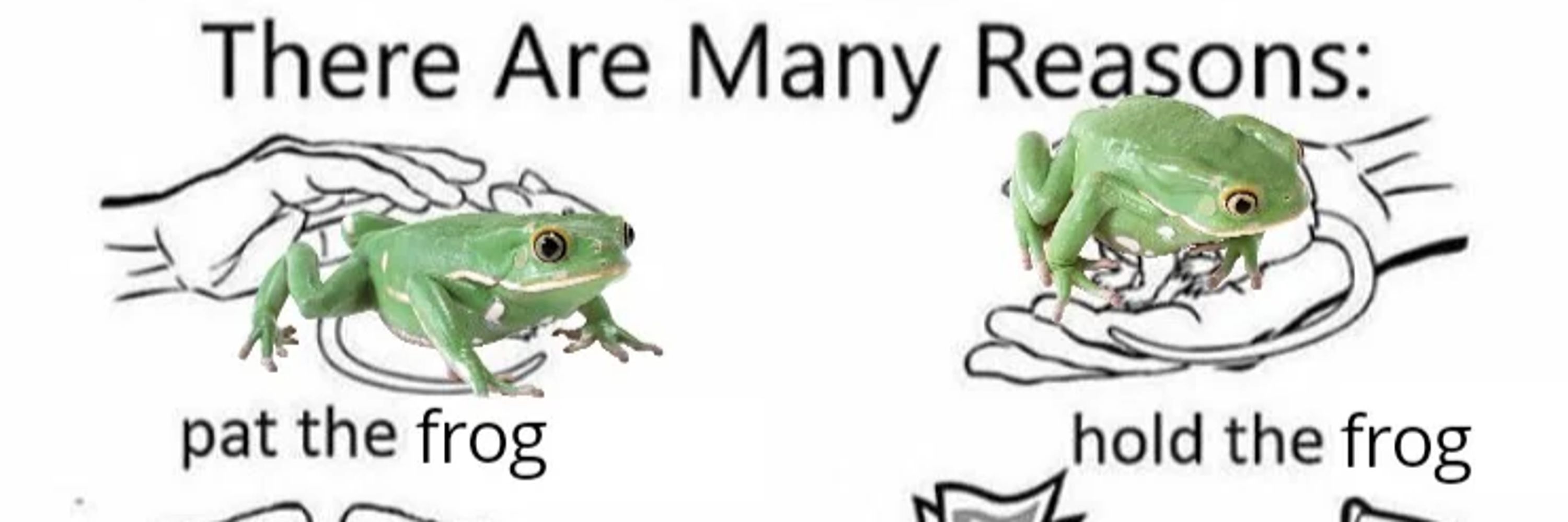 🦴PuppyFrogTeri🦴