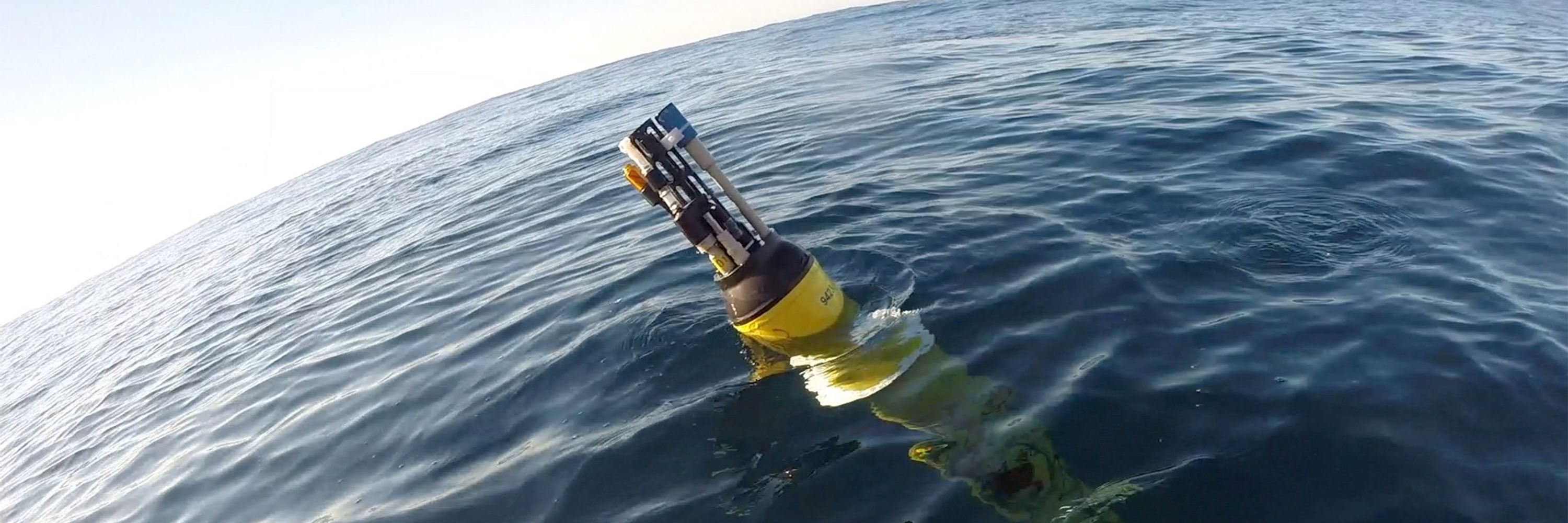 Global Ocean Biogeochemistry Array