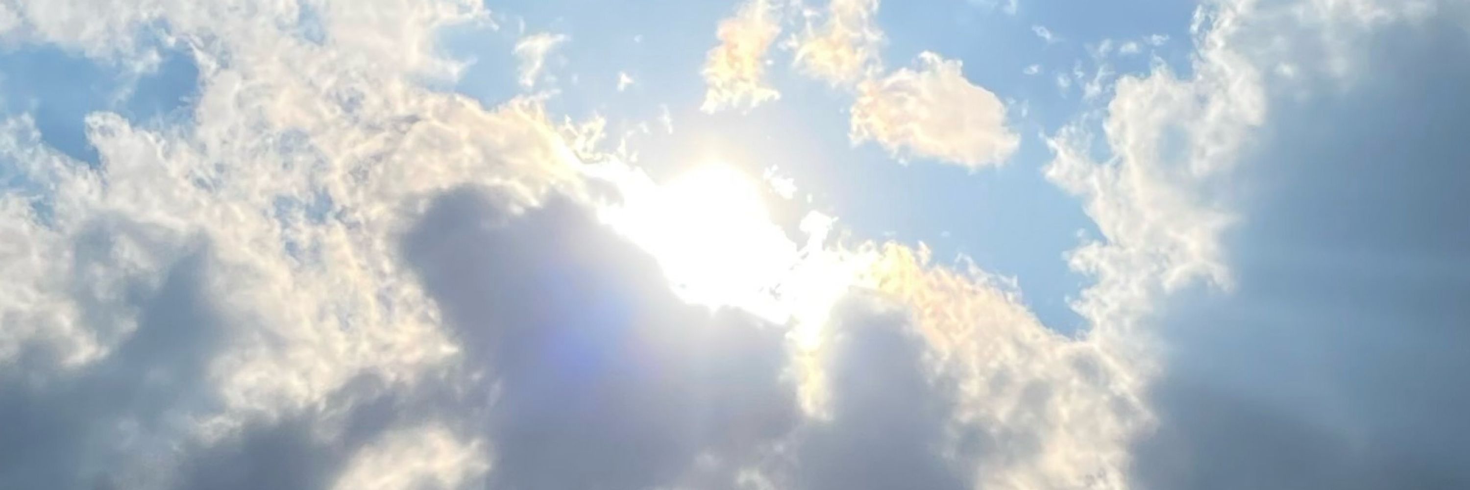 おはようSunshine