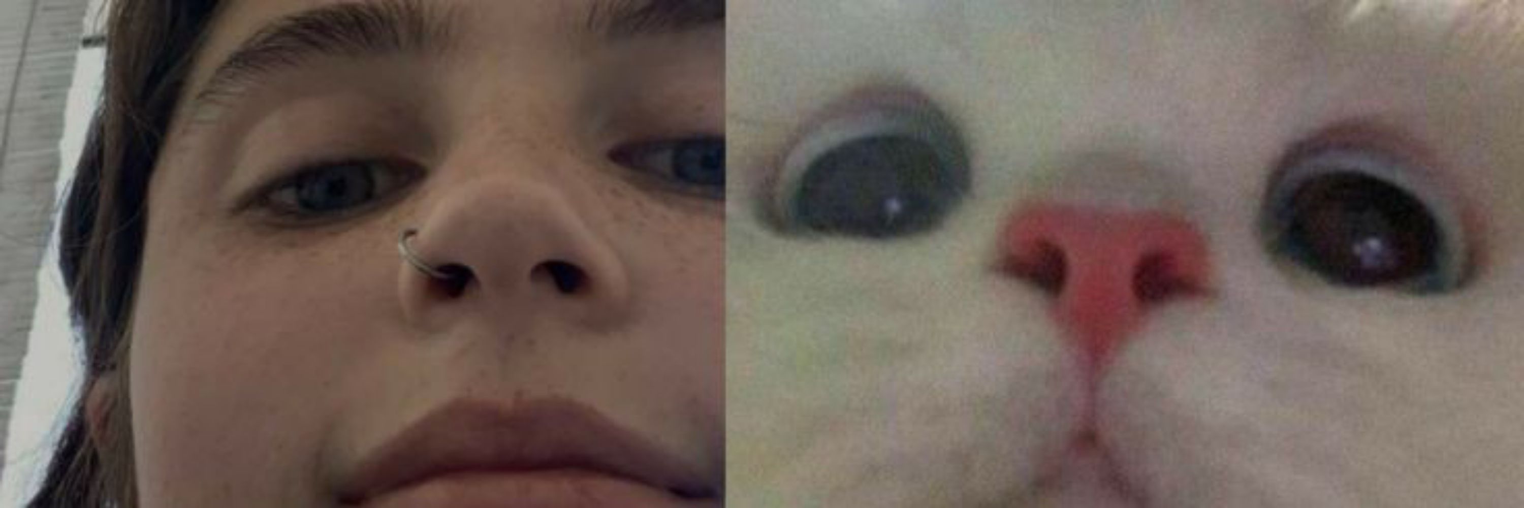 uasmiau
