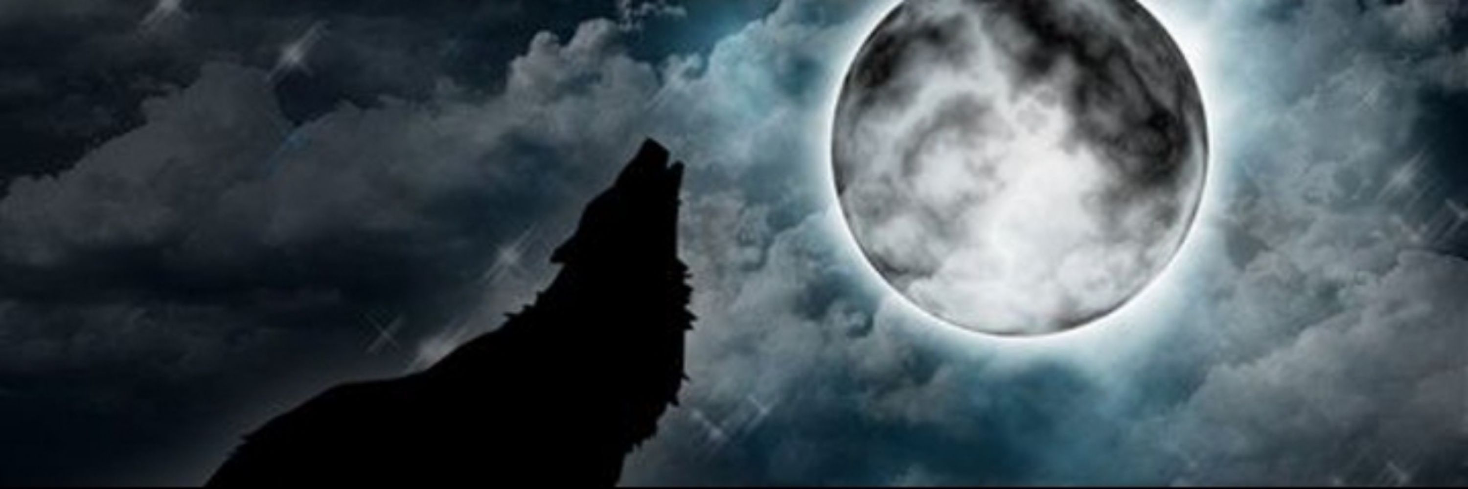 The_WOLF