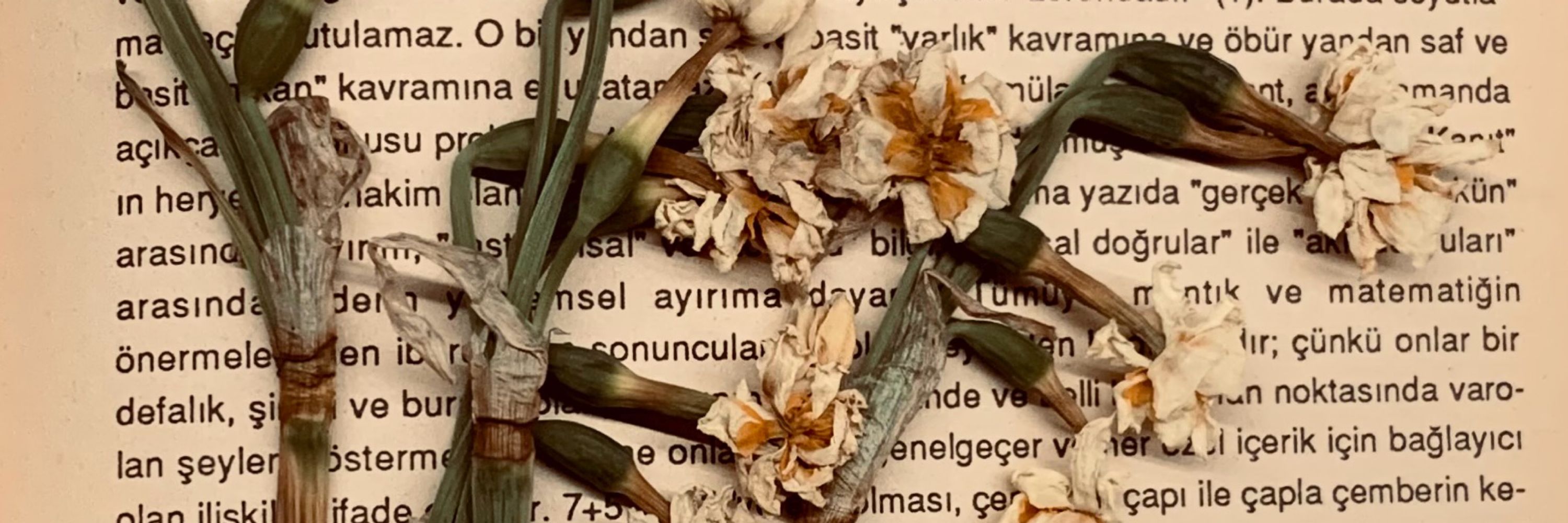 Bihter Dinçel