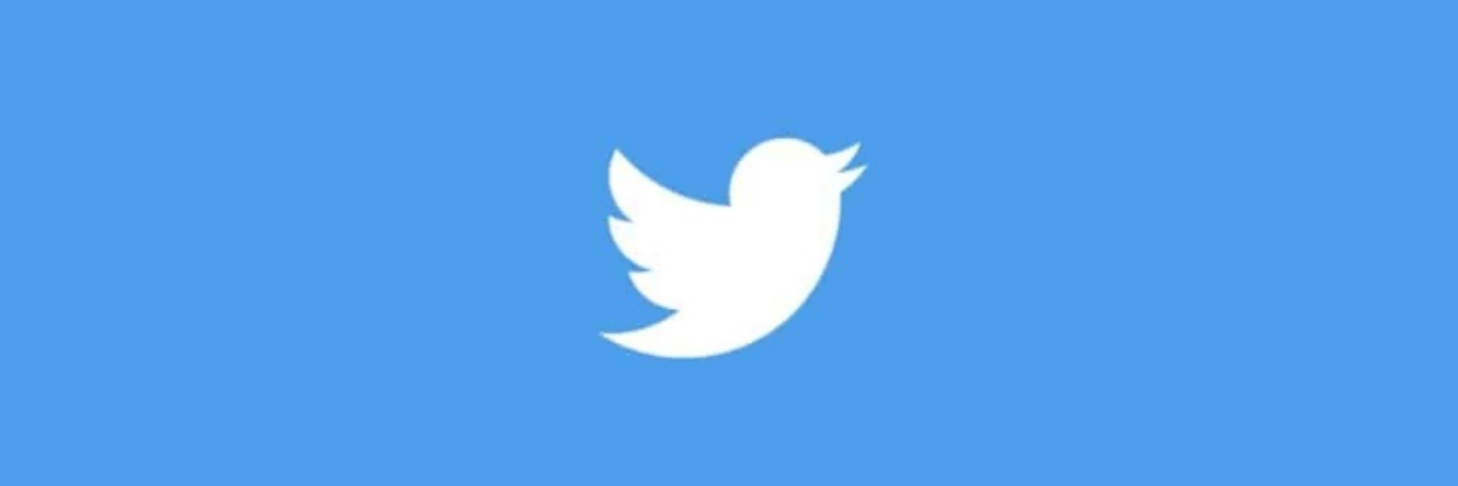 白鳥