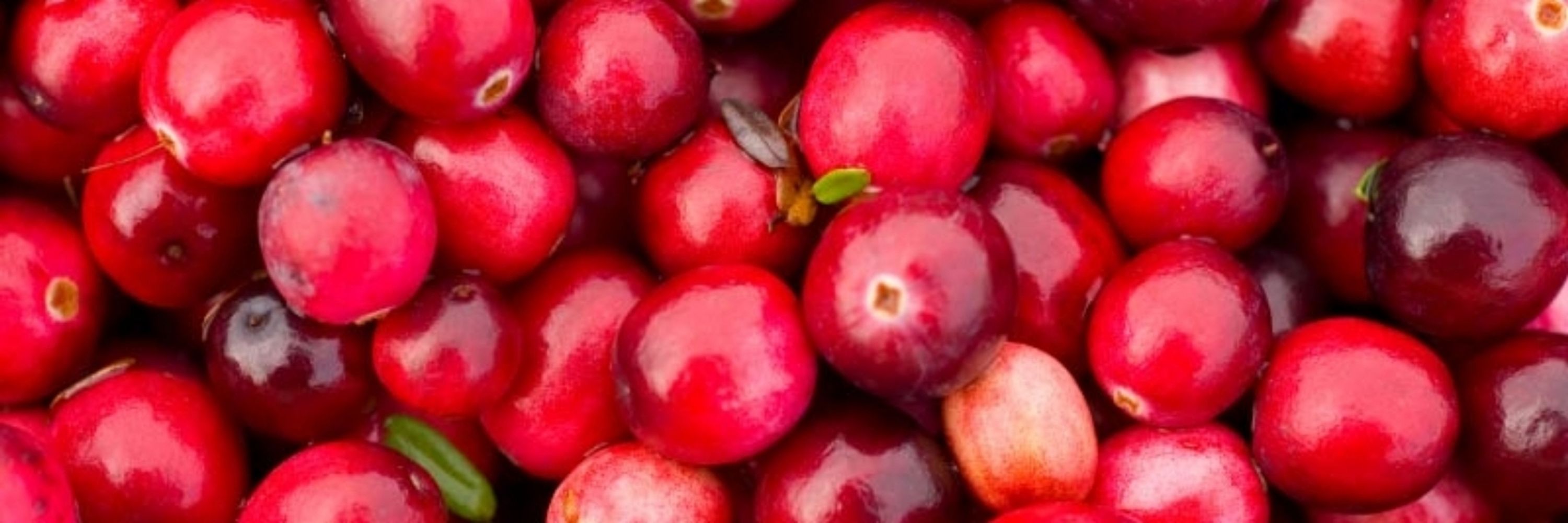 Lakota Cran