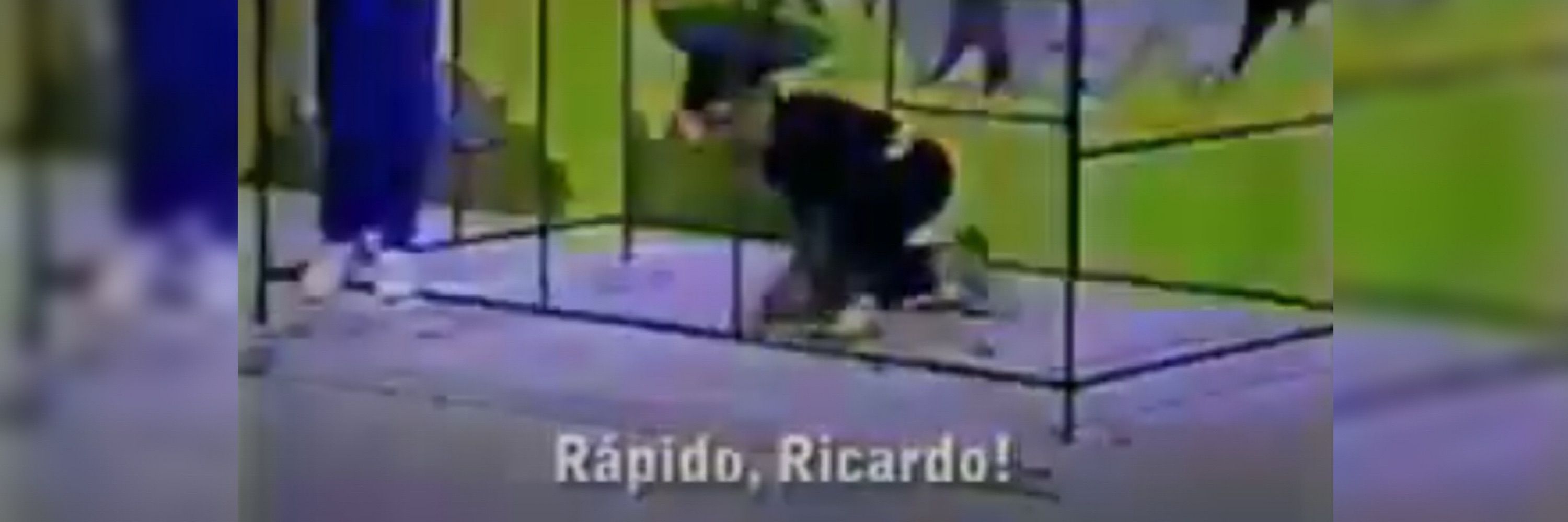 Marcelo Ricardo