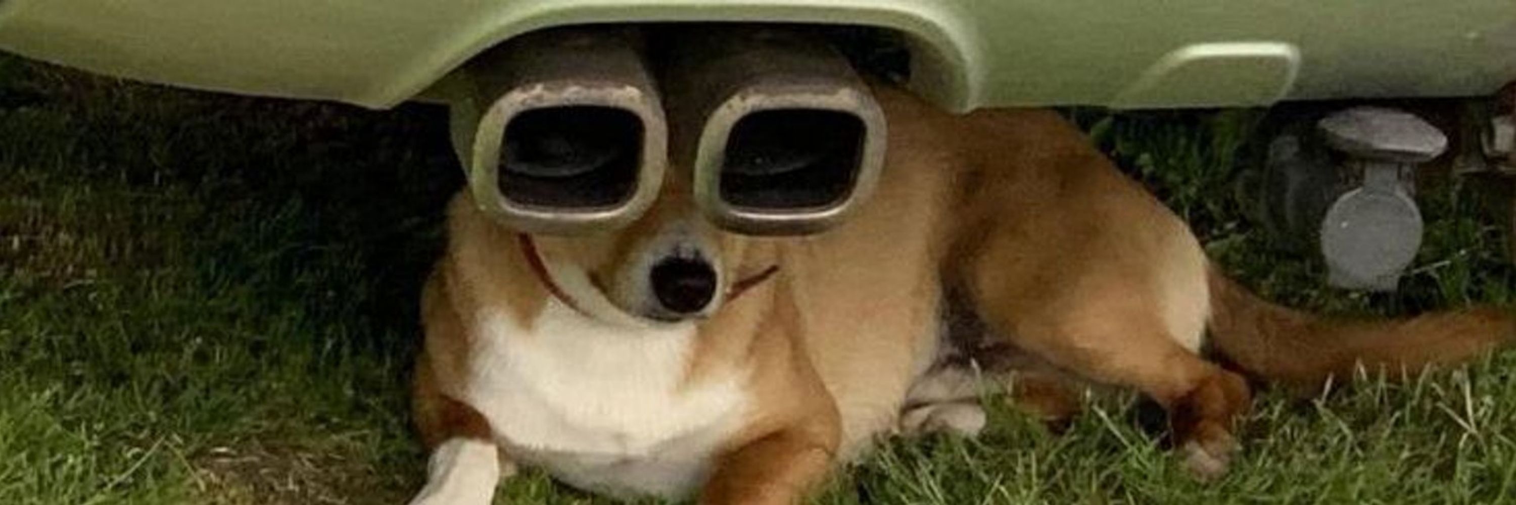 좌청룡