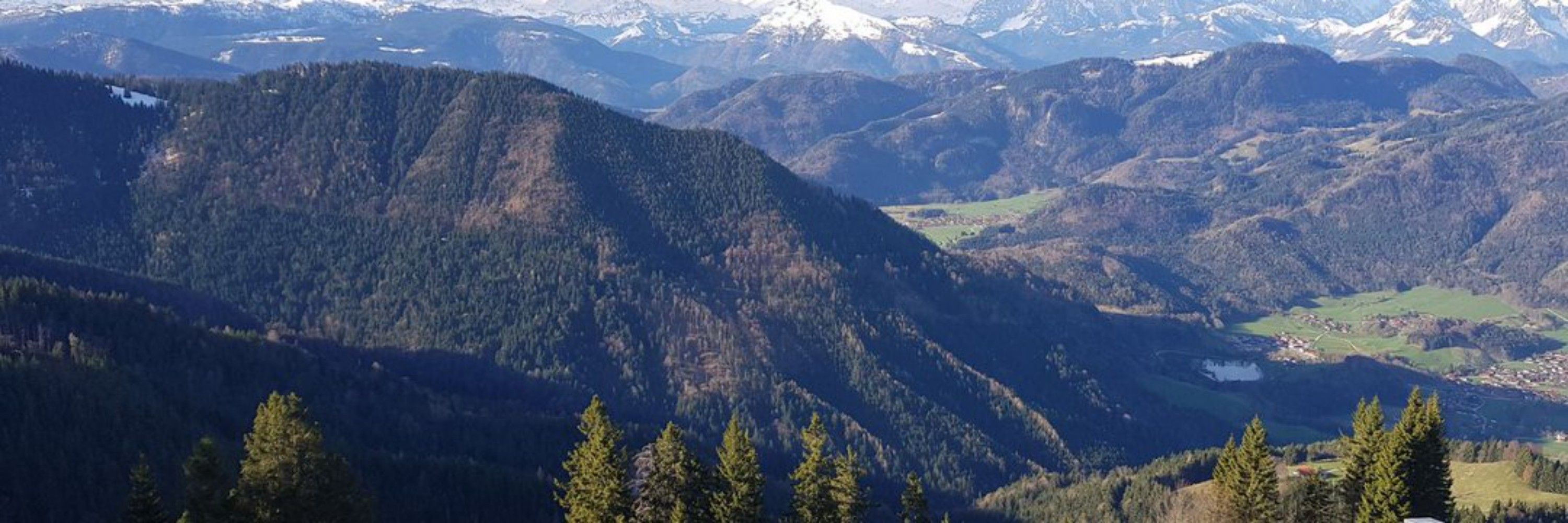 Aljoscha