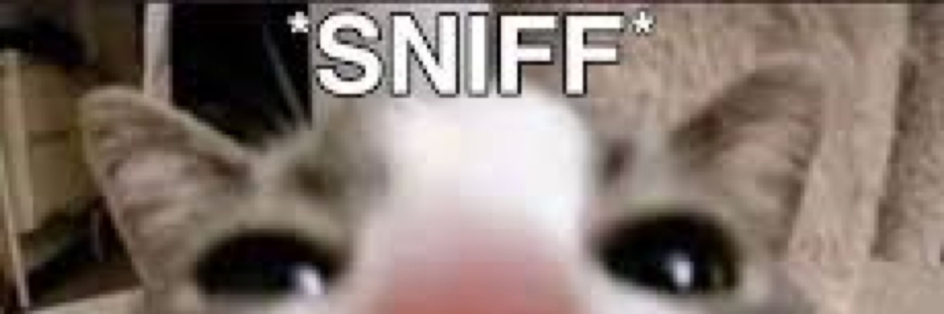 Kazing That Shit