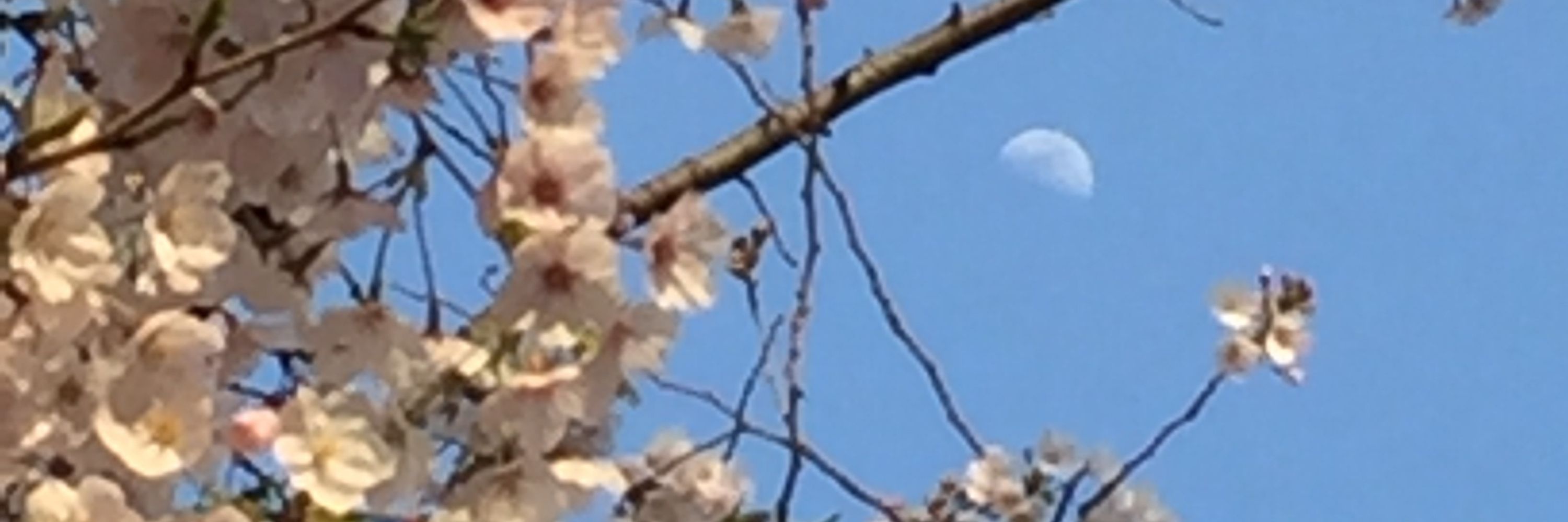 なあ