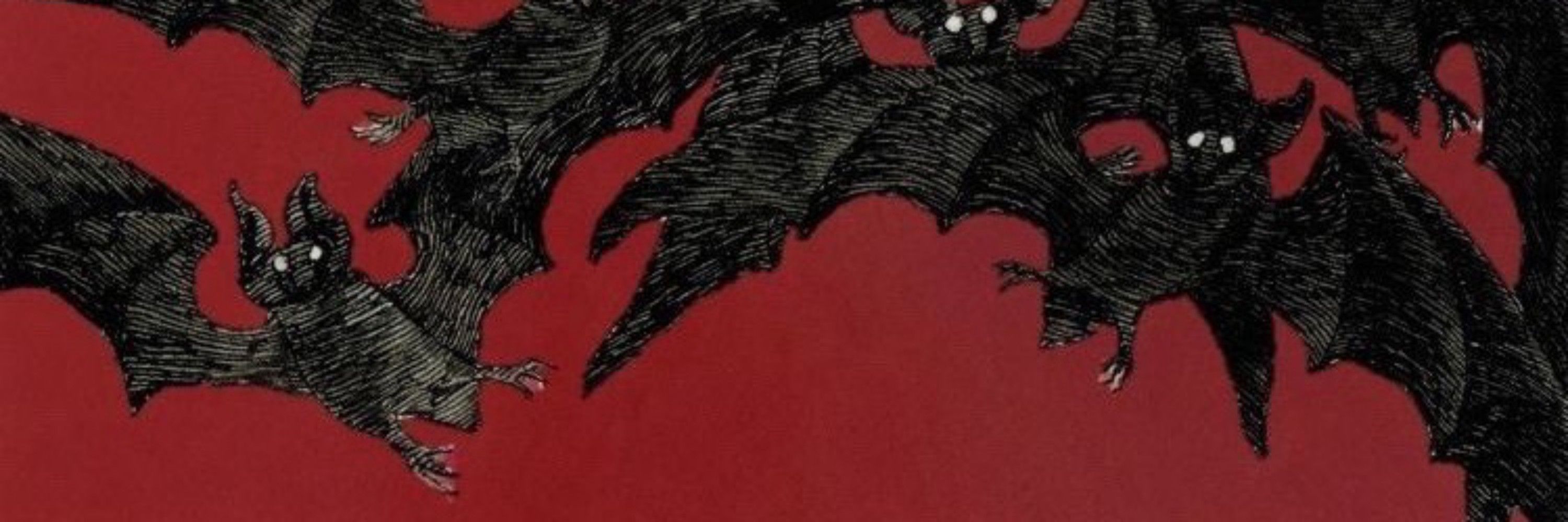 🦇 falzetta 🦇