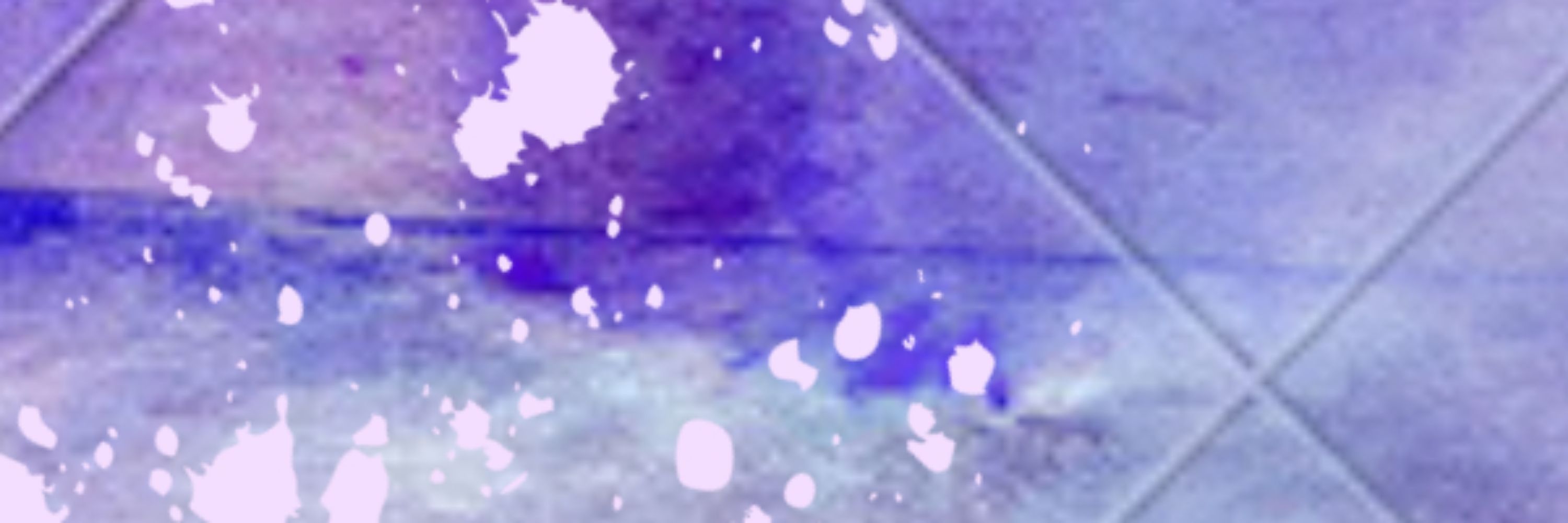 Bean⁷