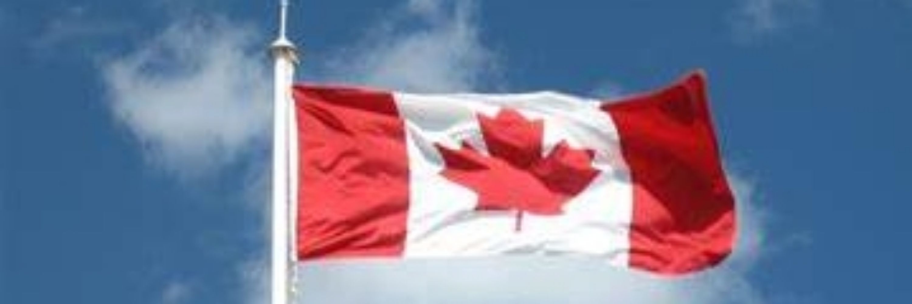 🍁Seff P. 🇨🇦