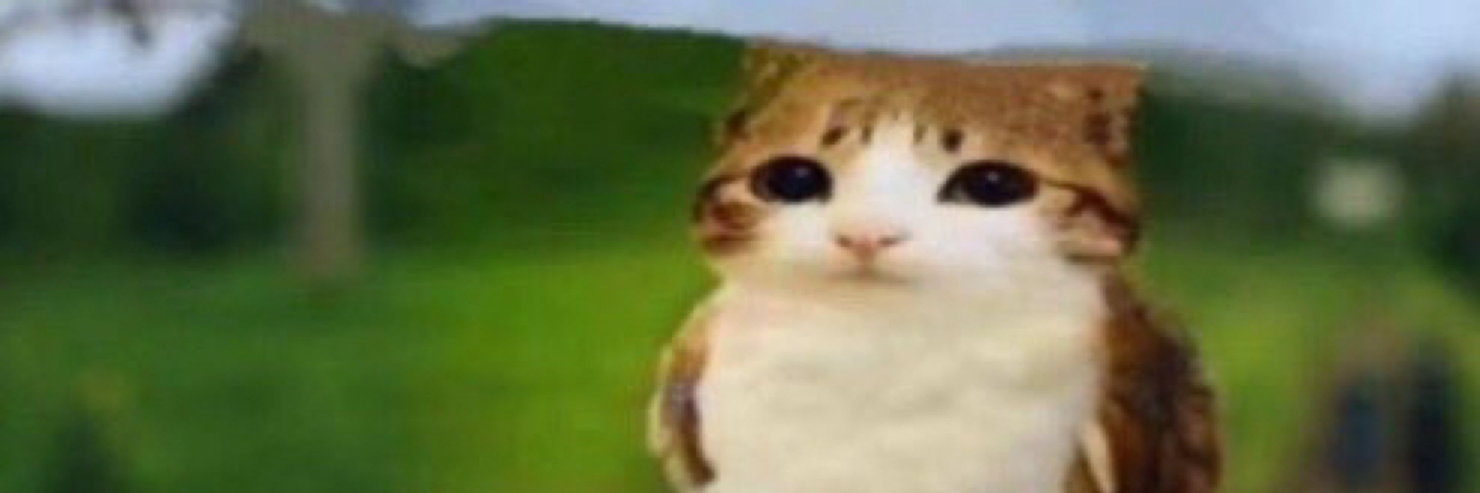 Leomanske 