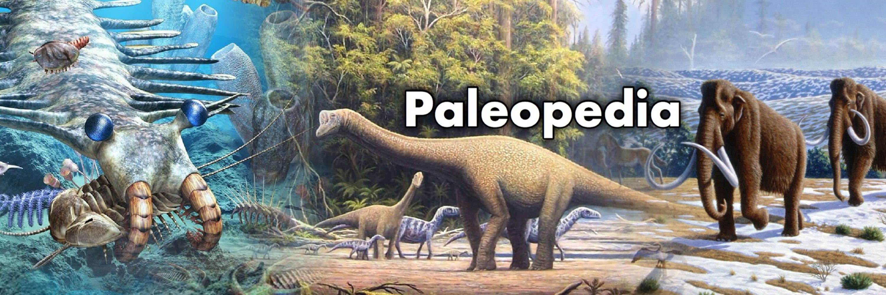 Paleopedia // TeaoftheSea