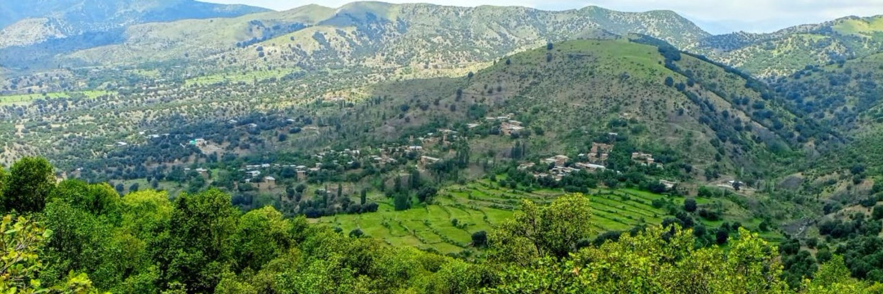 Ihsan Tipu Mehsud