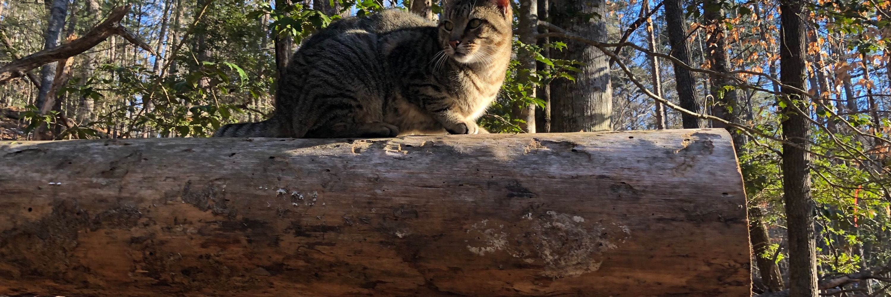 Ken in Appalachia