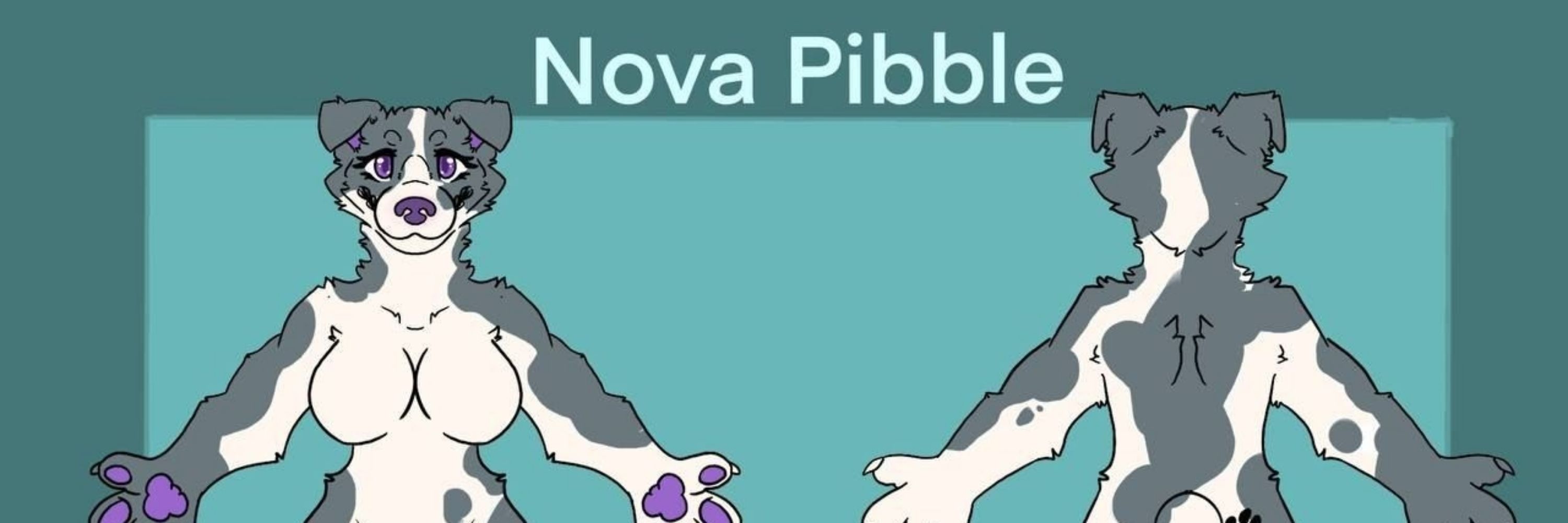 Nova pibble pup
