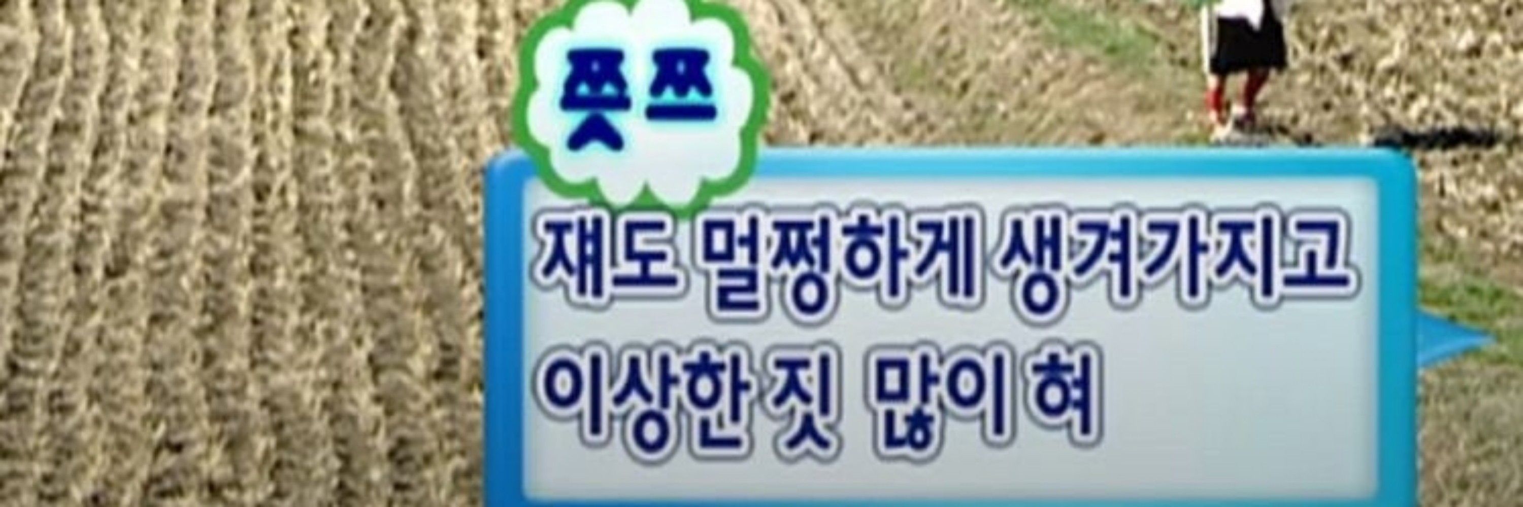 팡