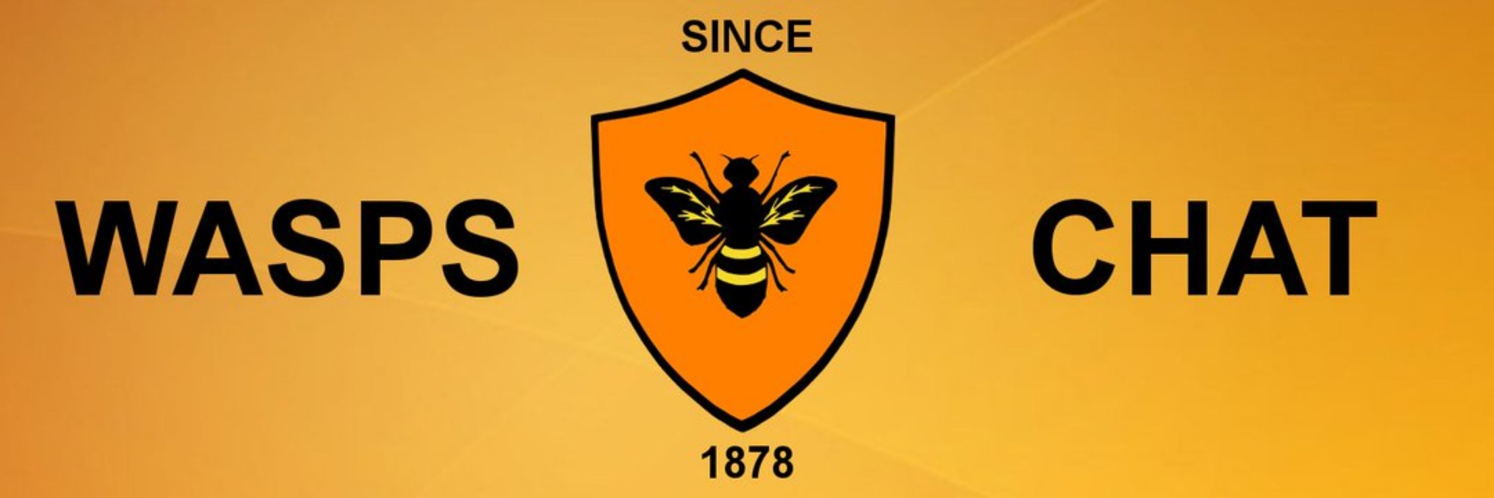 Wasps Match Chat